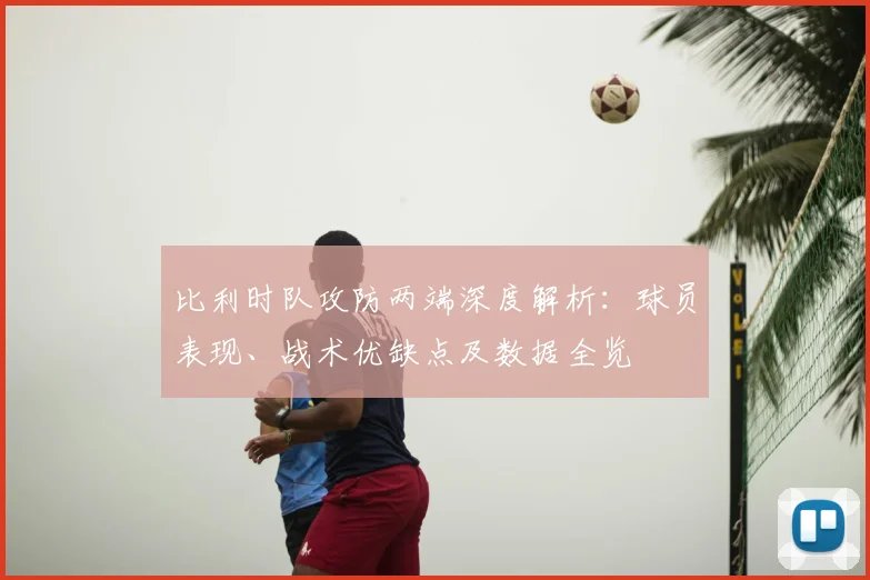 比利时队攻防两端深度解析:球员表现、战术优缺点及数据全览